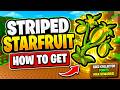STRIPED STARFRUIT in BUILD A RING FARM Roblox - Seed and Money Guide