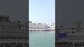 waheguru satnamwaheguru shorts Sikhism dharmikstatus gurbani gurbanistatus