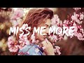 3LAU - Miss Me More (Lyrics)