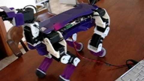 "PEDRO" quadruped robot