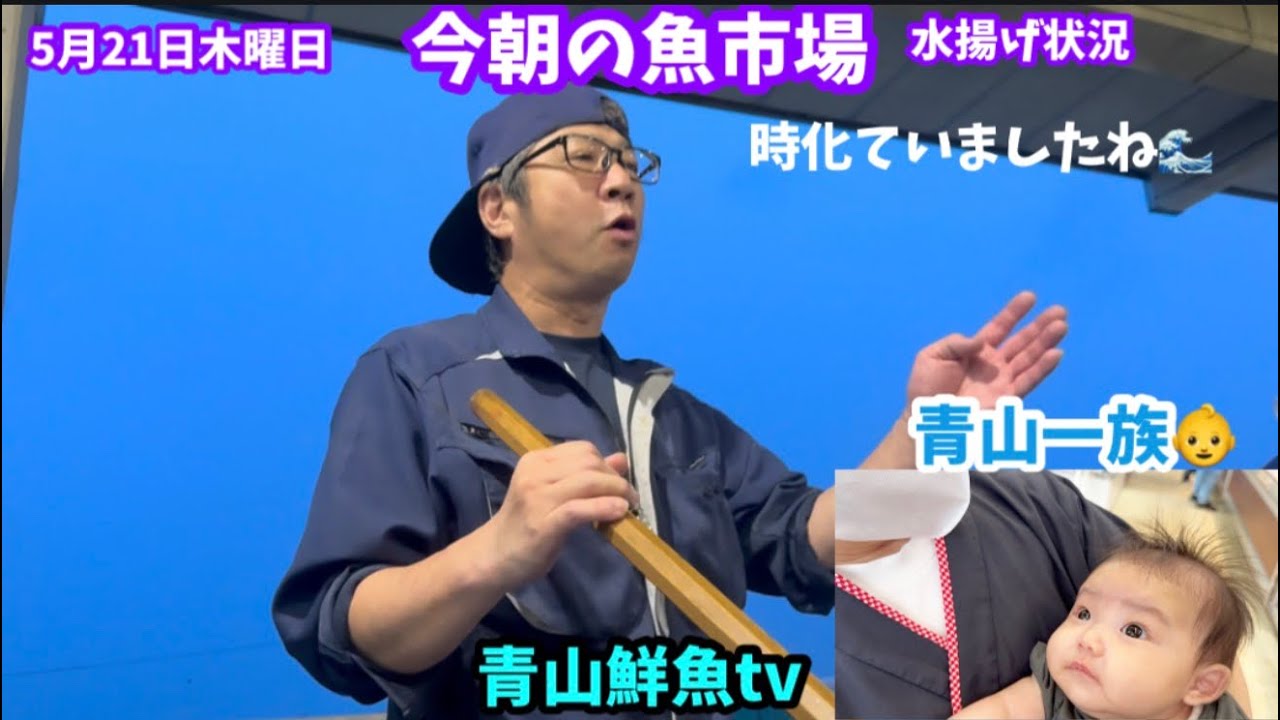 【時化】今朝の魚市場5月21日木曜日の水揚げ状況