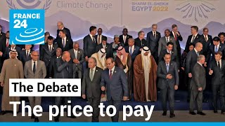 The price to pay: Can humanity adapt to an overheating planet? • FRANCE 24 English