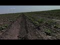 Миллийбанк Нукус тумани Бир контур бир махсулот