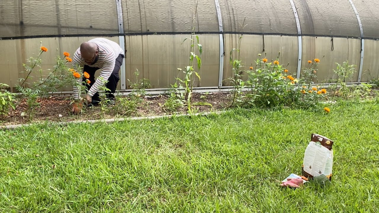 Sometimes Things are Out of Our Control ... New Squash Seeds Planting
