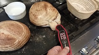 1634. Pro Tip how to know when your homemade fresh baked sourdough bread is done ready cooked inside