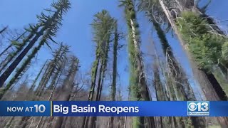 Big Basin Reopens