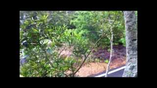 雲林泰特車隊 2013 TRCC 首戰-大武 影像記錄片暨車隊形象宣傳影片