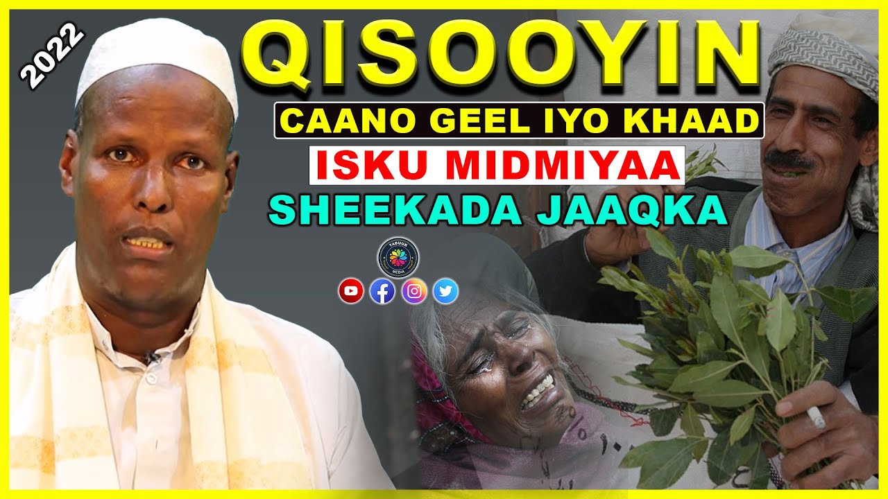 Dhibaatada qaadka uu leeyahay  Dr  Sh Cali Maxamed Sh Ismaaciil