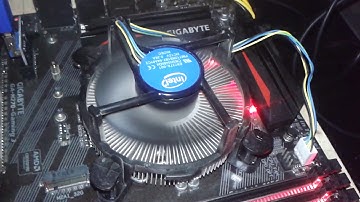 Mining on nicehash with Gtx 1080ti