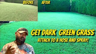 Get A Super Dark Green Lawn Fast Easy And Cheap!