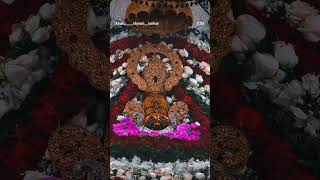 attitude king 👑 @LodhiJagat 🙏🙏🙏🙏