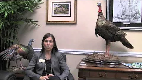 Dr. Andrea Mayfield Interview, G. Harrison Plott