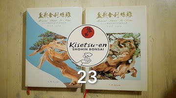 BONSAI SHARI SIDIAO - December 23