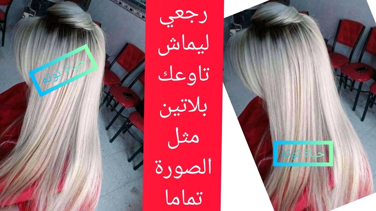 شعرك فيه ليماش ماشي شابين رواحي ديري هذا الميلونج يخرجلك بلاتين فشباب بلا ميتبدل لون الجذور نهائياا