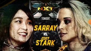 Celebrity Sarray V.S Zoey Stark Will Take Place Tonight Net Worth