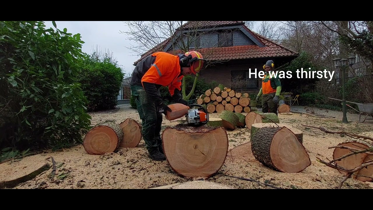 The perfect combination for working with large wood and large chainsaw ...