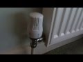 How to fix a thermostatic radiator valve if your radiator is not heating up.