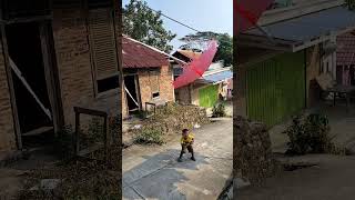 Dirga Lagi Main Layangan Gaes