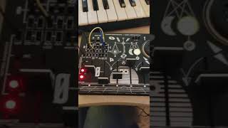 Vlog #17: chaotic patch with Bastl Softpop
