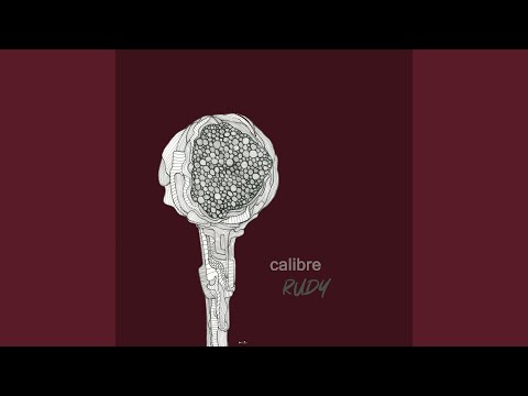 Calibre — Hard To Believe