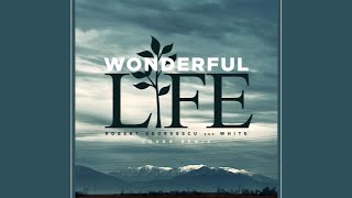 Robert Georgescu and White - Wonderful Life (Cover Remix)