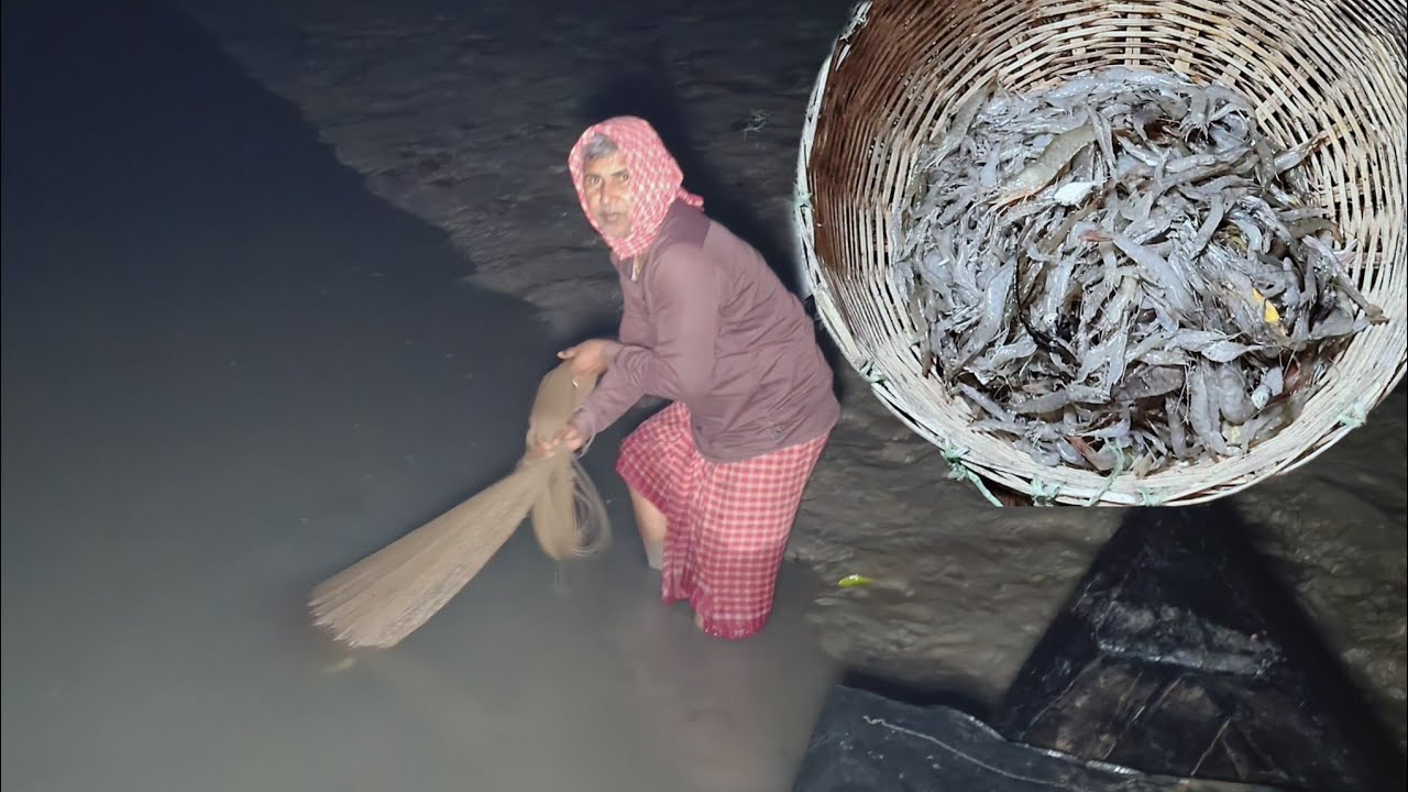 গভীর রাতে বাবা মা আর সোনা মায়ের বাবা নদীতে চিংড়ি মাছ ধরতে গেল।নতুনপদ্ধতিতে কতটা চিংড়িমাছ পেলদেখুন