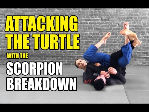 Scorpion Breakdown: Attacking Turtle Position No Gi BJJ