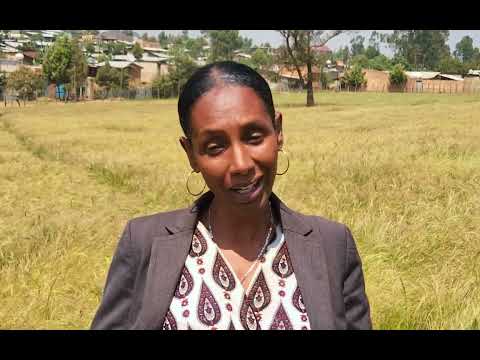 Magaalaa Hoolataa Inisheetiiviiwwan Qonna Magaalaa Manneen Barnootaatti