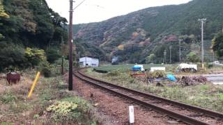 紅葉と茶畑とSLと…。