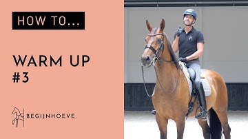 How to warm up your horse? | Begijnhoeve | How to #3