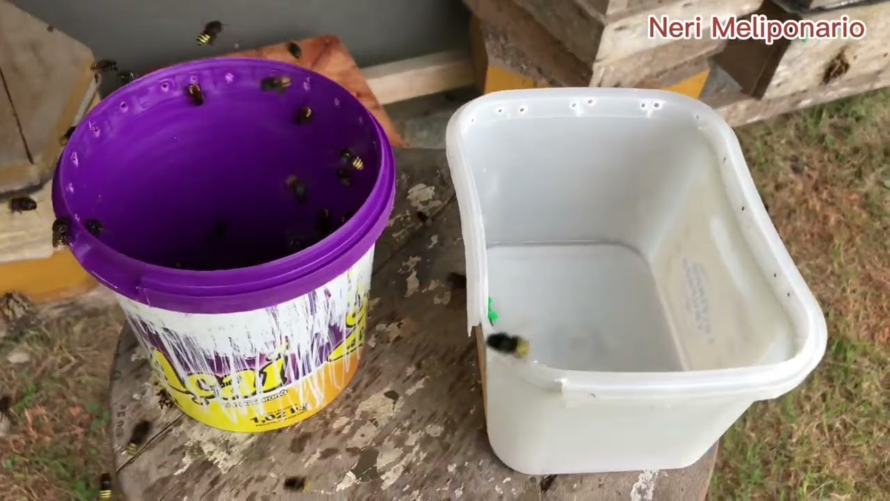 Como fazer alimentador externo para abelhas com reciclável  @ClaudineiNeri