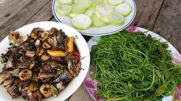 Cắm câu cá đêm. Cá kho tiêu nhãn lồng, bầu luộc  - Bin Đen Miền Tây # 325