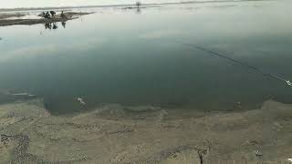 Рыбалка на Ташморе 24.03.2024г