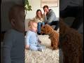 犬の声真似をする可愛い赤ちゃん👶🐶　#baby #dog #cute #funny #love #shorts #shortvideo #赤ちゃん #トイプードル#犬