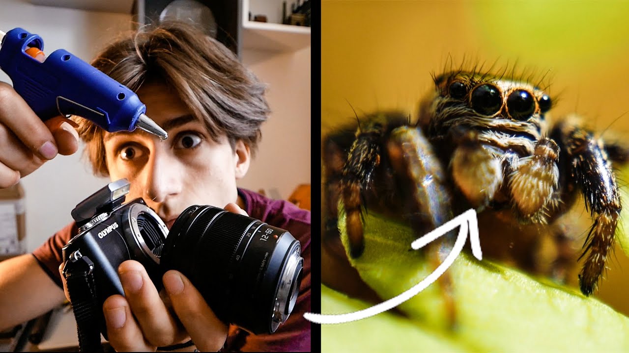 Jak Zmienić Każdy Obiektyw w Obiektyw Macro