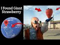  i found giant strawberry sculpture in real life on google earth and google maps googleearth