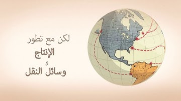 CODEX 50 ANIMATION MASTER AR