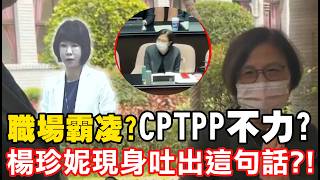 【每日必看】職場霸凌?CPTPP不力? 楊珍妮現身吐出'這句話'｜顏慧欣遭霸凌矛頭指向'她' 楊珍妮低調現身立院  20260331