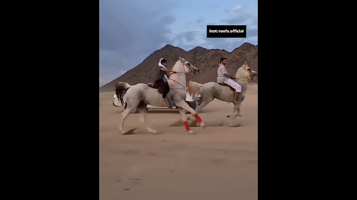 شاهد اسرع خيل عربي قد تراه اول مرة في حياتك 🤎🐎🔱