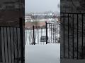 ❄️ Virginia Snow Storm🌨️ #VirginiaSnow #SnowStorm #livesnowfall