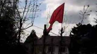 Rode Vlag