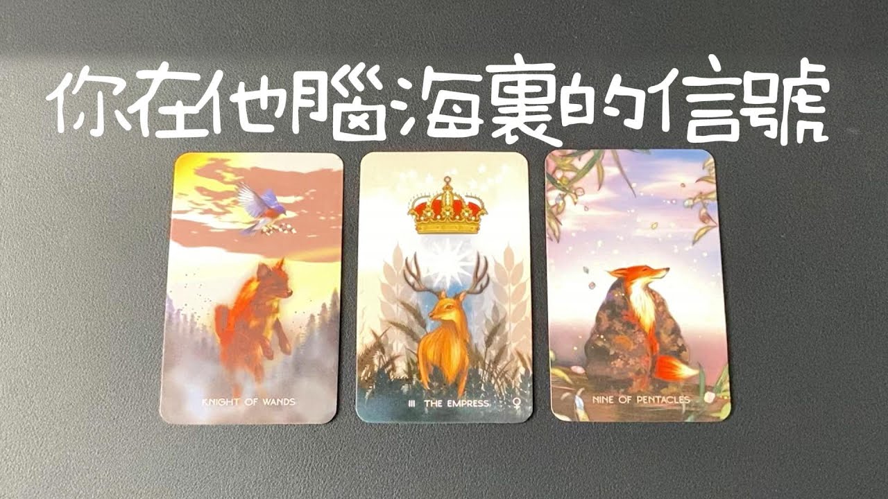 你在他腦海裡的信號，想到你他的感覺、對關係的看法，他的內心潛臺詞|曖昧|愛情|戀愛|桃花|塔羅占卜|