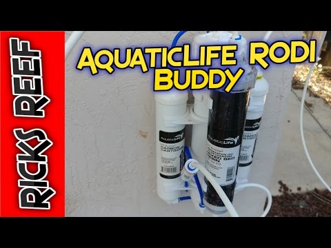 aquaticlife ro di buddy
