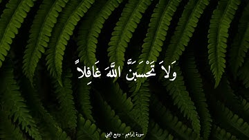 { ولَا تَحسبَنَّ الله غافِلًا عَمَّا يَعْملُ الظَّالمُون ۚ } القارئ : وديع اليمني | من سورة إبراهيم