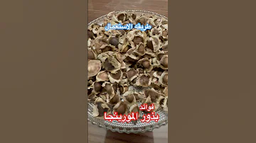 ماهى بذور المورينجا طريقه الاستعمال اسرار العارفين 