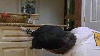 Florida Pest Control- TV Commercial "Extensive Training"