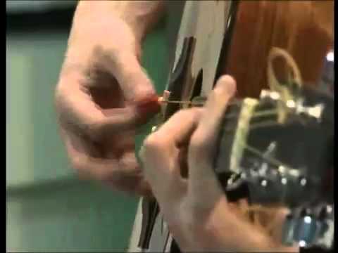 Roller Genoa Dear Friend Of Mine TV Live 