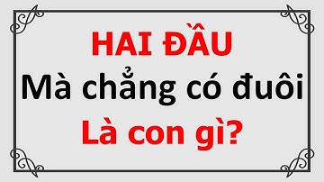 Câu đố dân gian Việt Nam có đáp án - Phần 28
