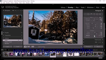 Lightroom Classic CC Tutorial Adjusting Overall Color Saturation in Basic Panel Adobe Training