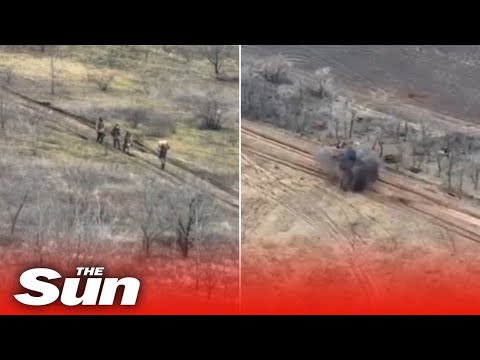 Ukrainian defence forces target Russian patrol with artillery near Bakhmut
